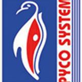 cropped-Pyco-Systems-Logo.jpg